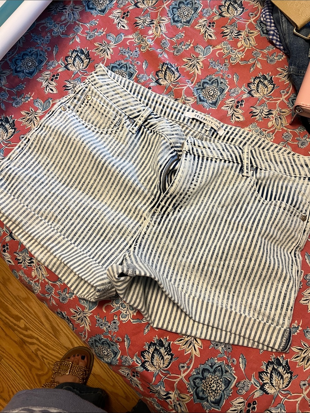 Celebrity Pink Blue and White Striped Denim Shorts
